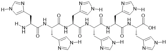 6 × Hänen peptidinsä