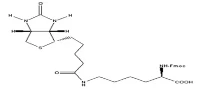 Fmoc-D-Lys(biotiini)-OH