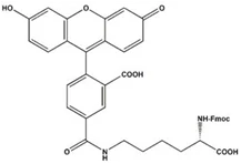 Fmoc-Lys(5-FAM)-OH
