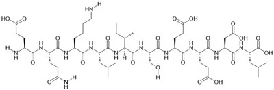 Myc-epitooppipeptidi
