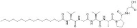 Palmitoyyl hexapeptidi -12