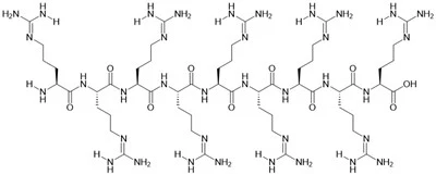 R9 peptidi
