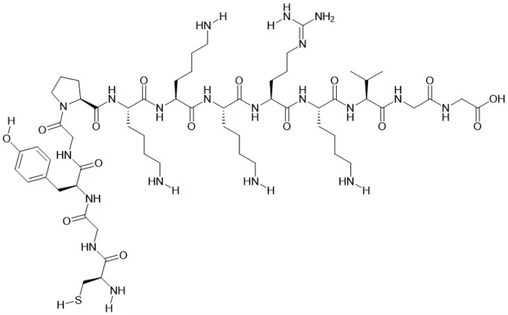 SV40 ydinvoima kuljetus signaali peptidi analoginen