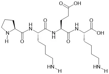 Tetrapeptidi -30